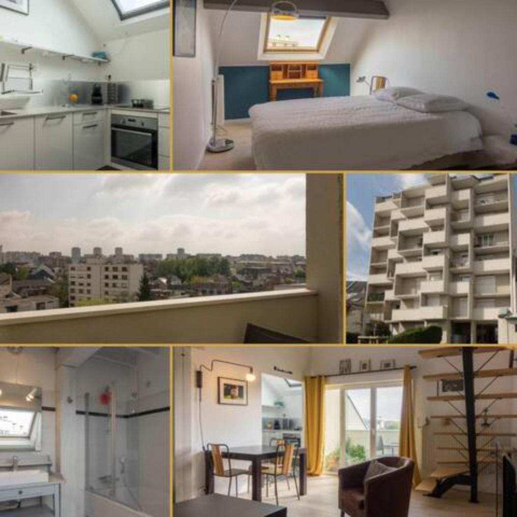 Le Duplex Ensoleille Du Parc * Parking * Balcon * Apartment Orleans Luaran gambar
